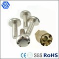 Four Holes Special Custom Made Stainless Steel Anti-Theft Bolts